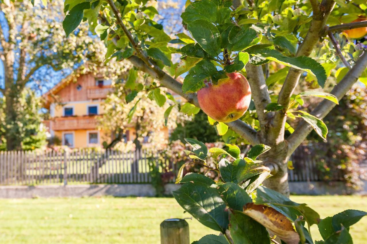Girlinggut Schlafen Starten Salzburg Elixhausen Exterior foto